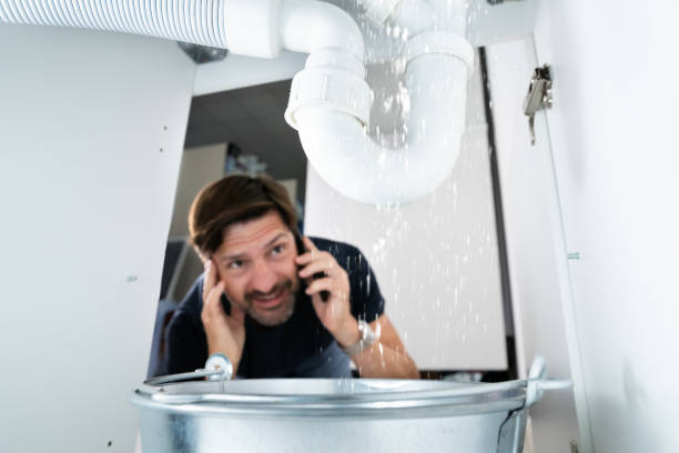 Best Commercial Plumbing Services  in Nashwauk, MN
